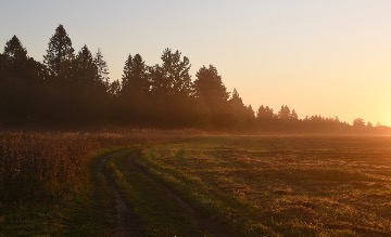 Антонов_Ярослав (8)
